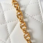 Christian Dior Miss Caro chain bag